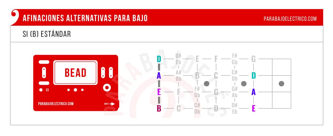 Cómo afinar Bajo en Si estándar (B Standard)