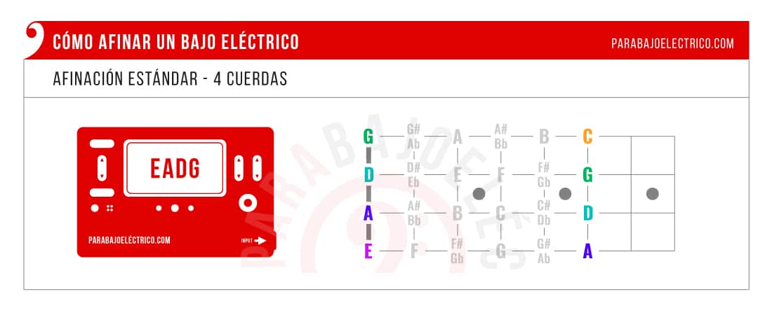 Cómo afinar Bajo de 4 cuerdas y notas hasta traste 5