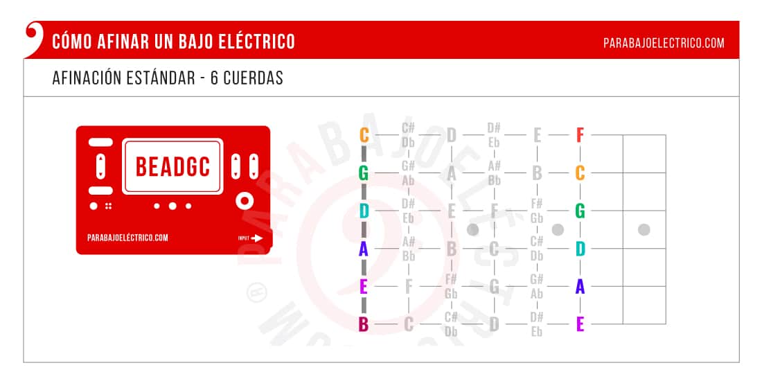 Cómo afinar Bajo de 5 cuerdas y notas hasta traste 5