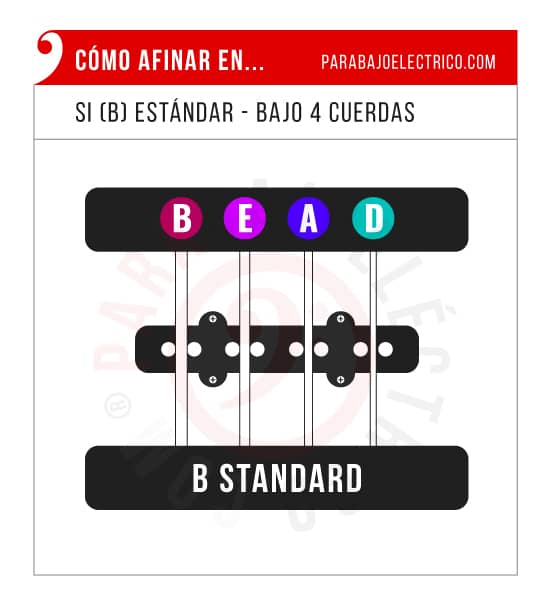 Afinación Si estándar para Bajo