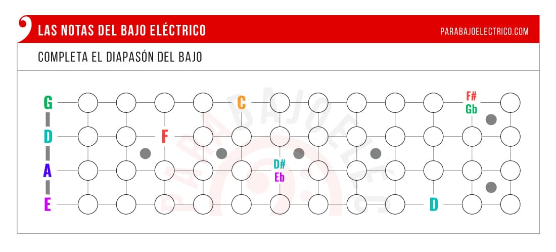Todas las Notas del Bajo
