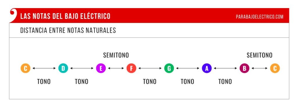Tonos y semitonos entre las notas naturales