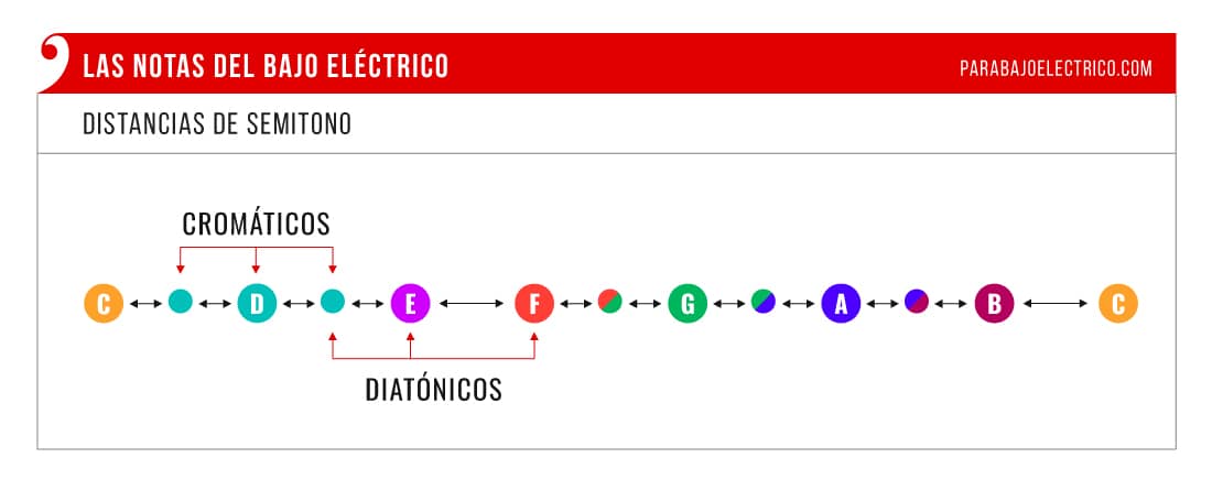 Tonos y semitonos entre las notas naturales