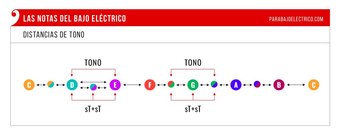 Tonos y semitonos entre las notas naturales