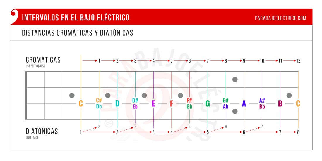 Distancias diatónicas y cromáticas de intervalos en el Bajo eléctrico